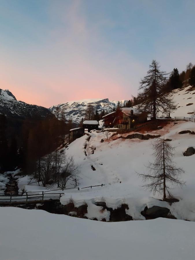 Piccola residenza Appartamento Champoluc Esterno foto